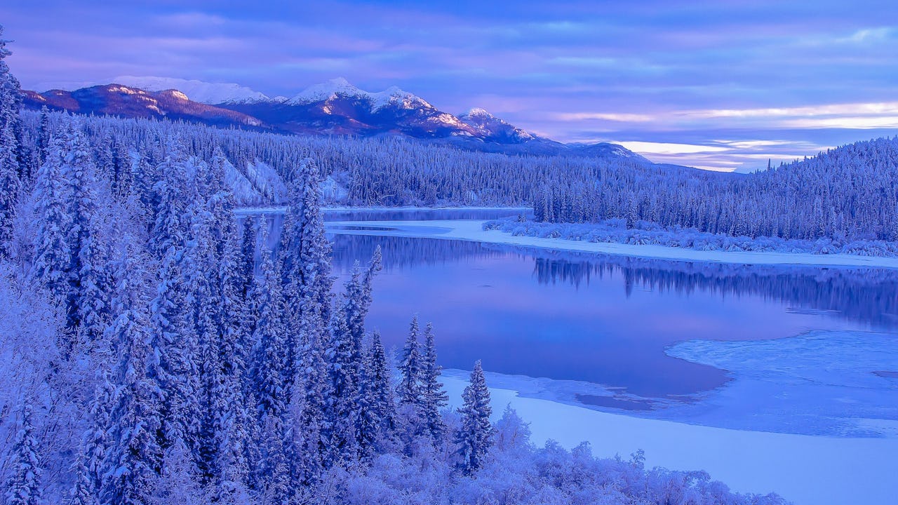 Forest in winter with lakes, mountains, trees, and snow