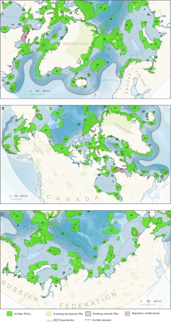 Map of ArcNet's 83 high-priority marine biodiversity conservation areas in Greenland, Canada and Russia