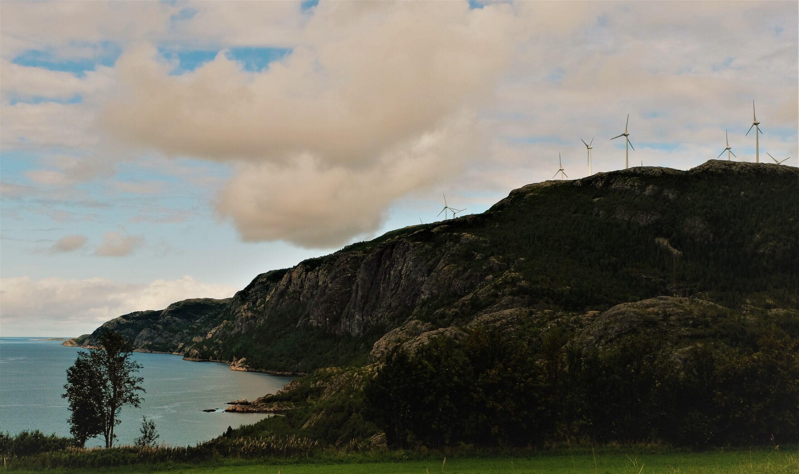 A group of wind turbines on a rocky hill next to a coastline