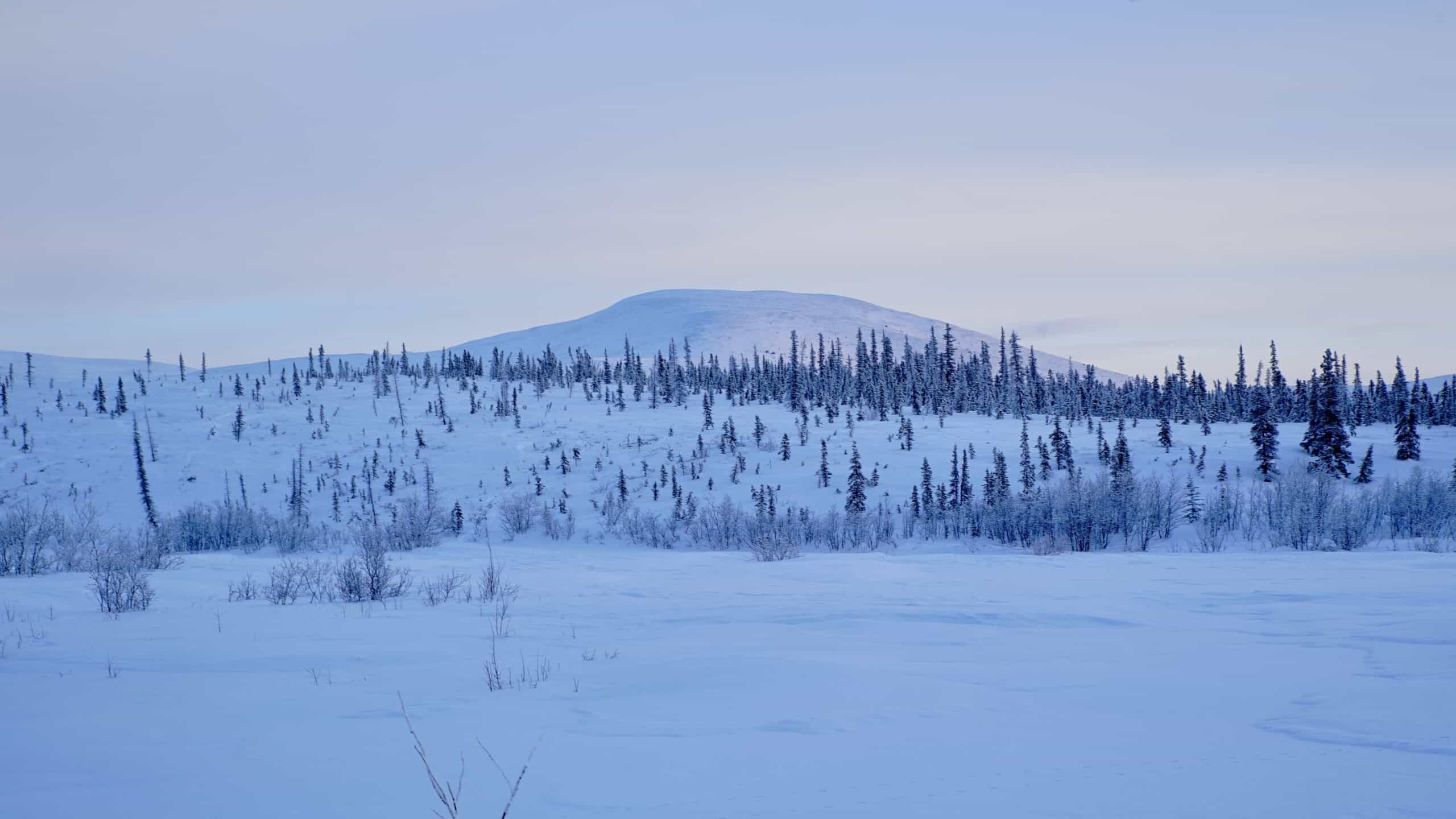 Snowy landscape with hill in the background